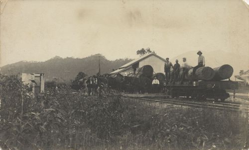 Arbeiter auf Gterwagen mit Holzstmmen