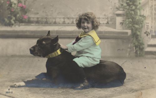Kind reitet auf Hund