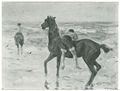 Max Liebermann: Pferde im Meer (Abbildung Seite 113)