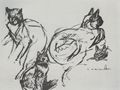 Steinlen, Theophile Alexandre: Katzenzeichnung