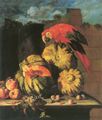 Tamm, Franz Werner von: Papagei auf Krbissen